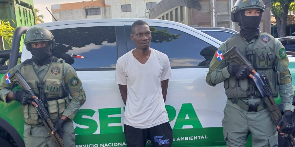  El Servicio Nacional de Protección Ambiental (SENPA) en conjunto con el Ministerio de Medio Ambiente, y miembros del Departamento Operativo I de Politur, detuvieron a un haitiano quien supuestamente habría matado a un tiburón en la playa de Guayacanes, San Pedro de Macorís.