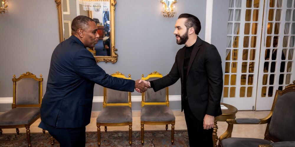 Embajador Flavio Rondón presenta cartas credenciales al presidente Nayib Bukele