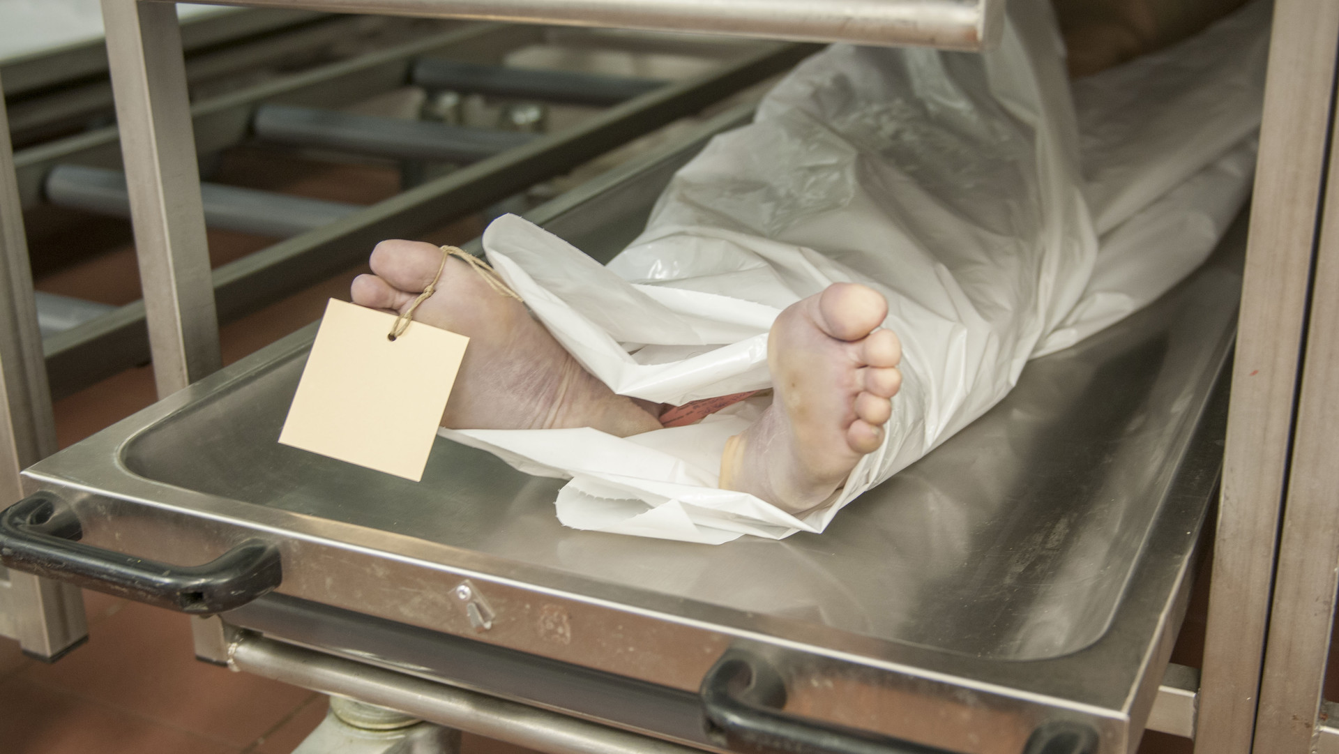 Una mujer de 61 años falleció este lunes tras ser apuñalada por su pareja sentimental en un hecho ocurrido en la comunidad de Ponce Adentro, en el sector Los Guaricanos, municipio Santo Domingo Norte.