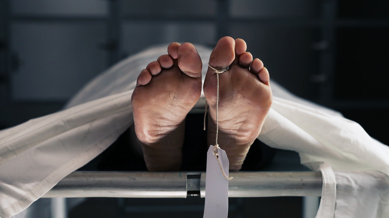 Una mujer identificada como Roxana Martínez Francois, de 24 años, fue hallada sin vida en el interior de su vivienda en el distrito municipal de Friusa, provincia La Altagracia.