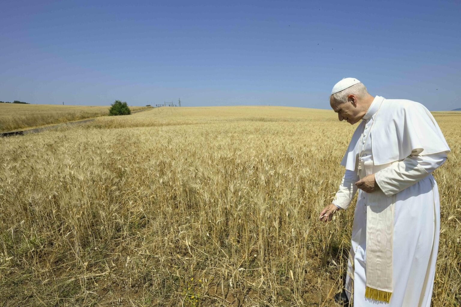  El papa León XIV aprobó este viernes los decretos que reconocen el "martirio" por "el odio de la Fe" de 124 sacerdotes de Jaén (Andalucía, España) asesinados entre 1936 y 1938 por lo que serán beatificados.