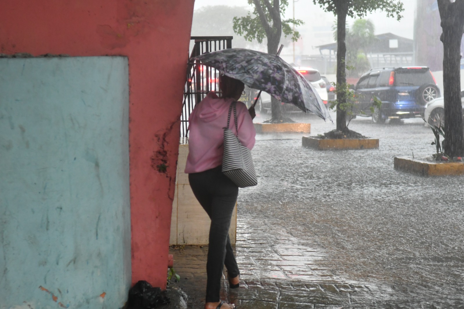  El Instituto Dominicano de Meteorología (Indomet), informó que durante las horas matutinas, se espera la ocurrencia de aguaceros locales con tormentas eléctricas y ráfagas de viento, sobre Santo Domingo, Monte Plata, Samaná, María Trinidad Sánchez, San Cristóbal y Sánchez Ramírez.