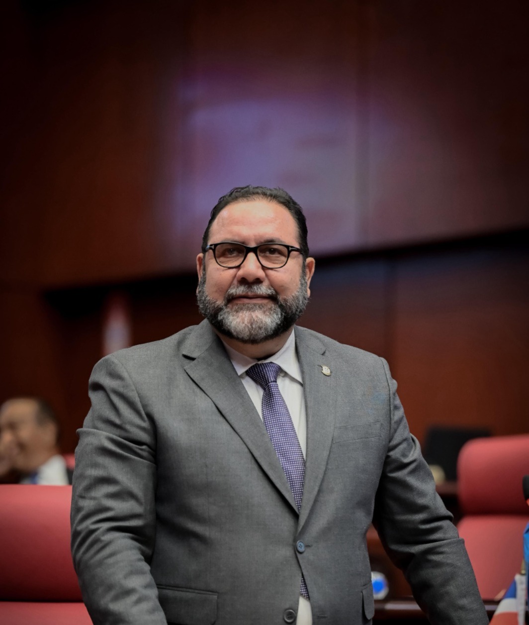 El senador Rogelio Genao pidió al presidente de la República Luis Abinader que disponga la prohibición de la importación de ajo durante 3 meses al año para garantizarle a los productores locales la colocación en el mercado.