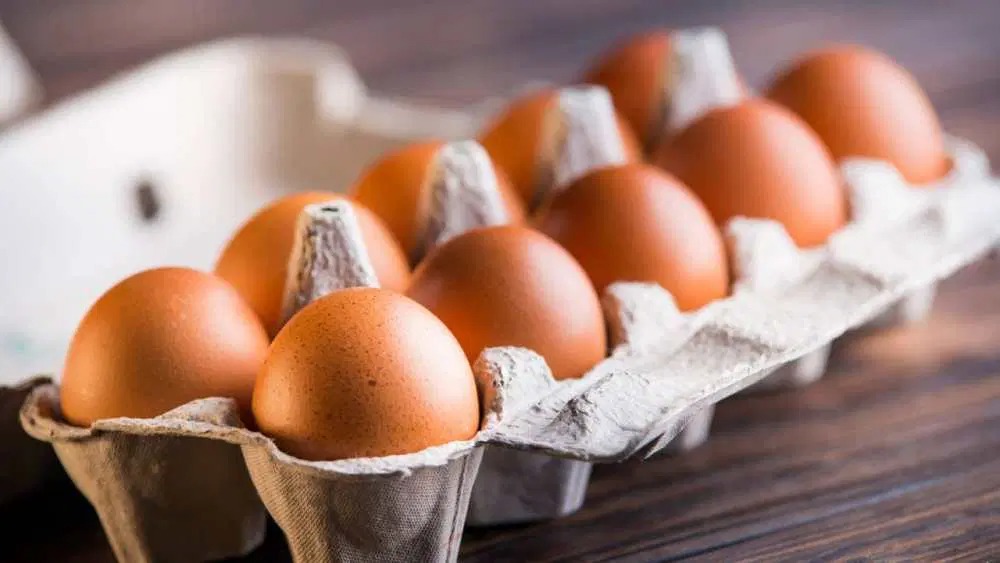En medio de un escenario competitivo, la industria avícola de República Dominicana ha logrado posicionarse como la principal exportadora proporcional de huevos de América Latina, según el informe Datos Productivos Latam 2024, elaborado por el Instituto Latinoamericano del Huevo (ILH).